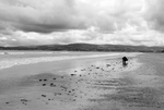 beach_in_dublin_2.jpg