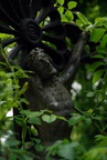 cementary_crucifix_lviv.jpg